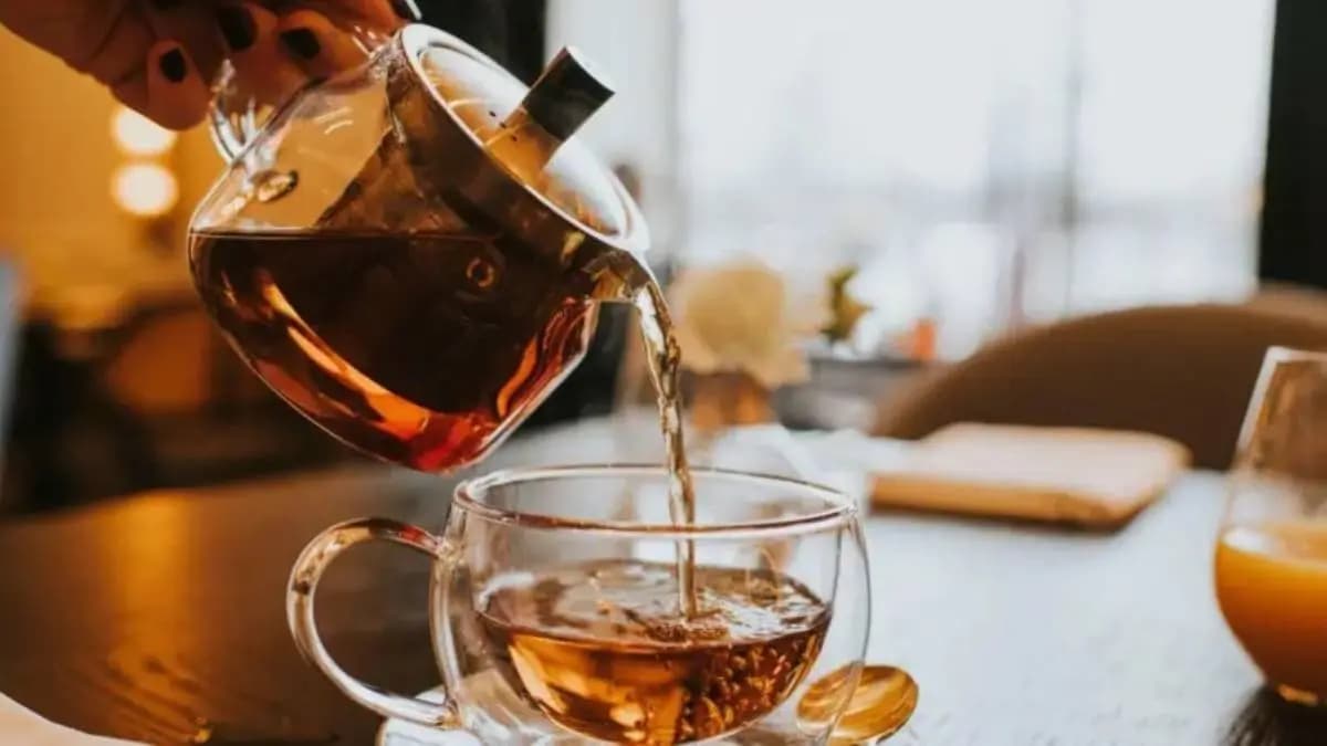Oolong tea has many health benefits