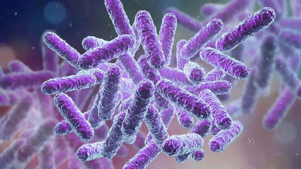 Milk consumption improves gut biodiversity and cheese reduce certain microbes