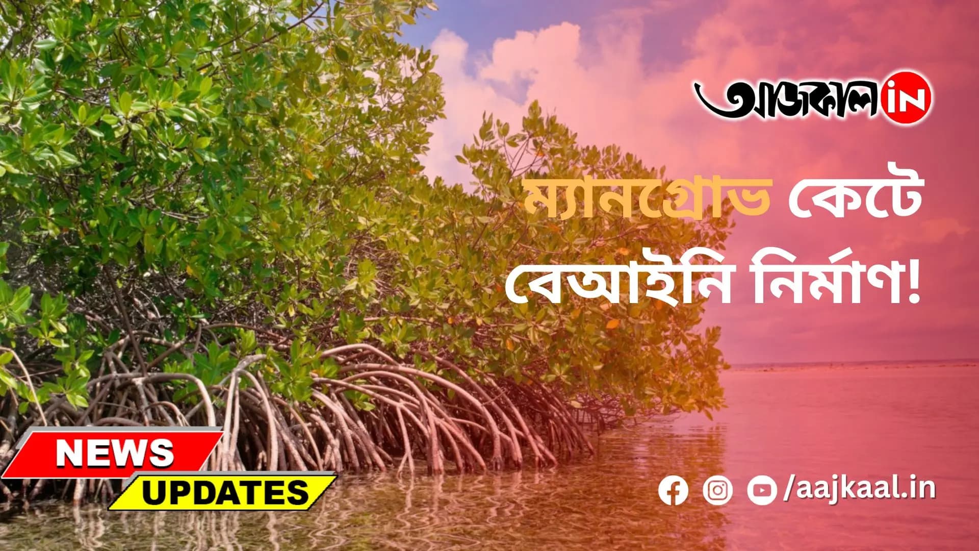 ম্যানগ্রোভ কেটে বেআইনি নির্মাণ!