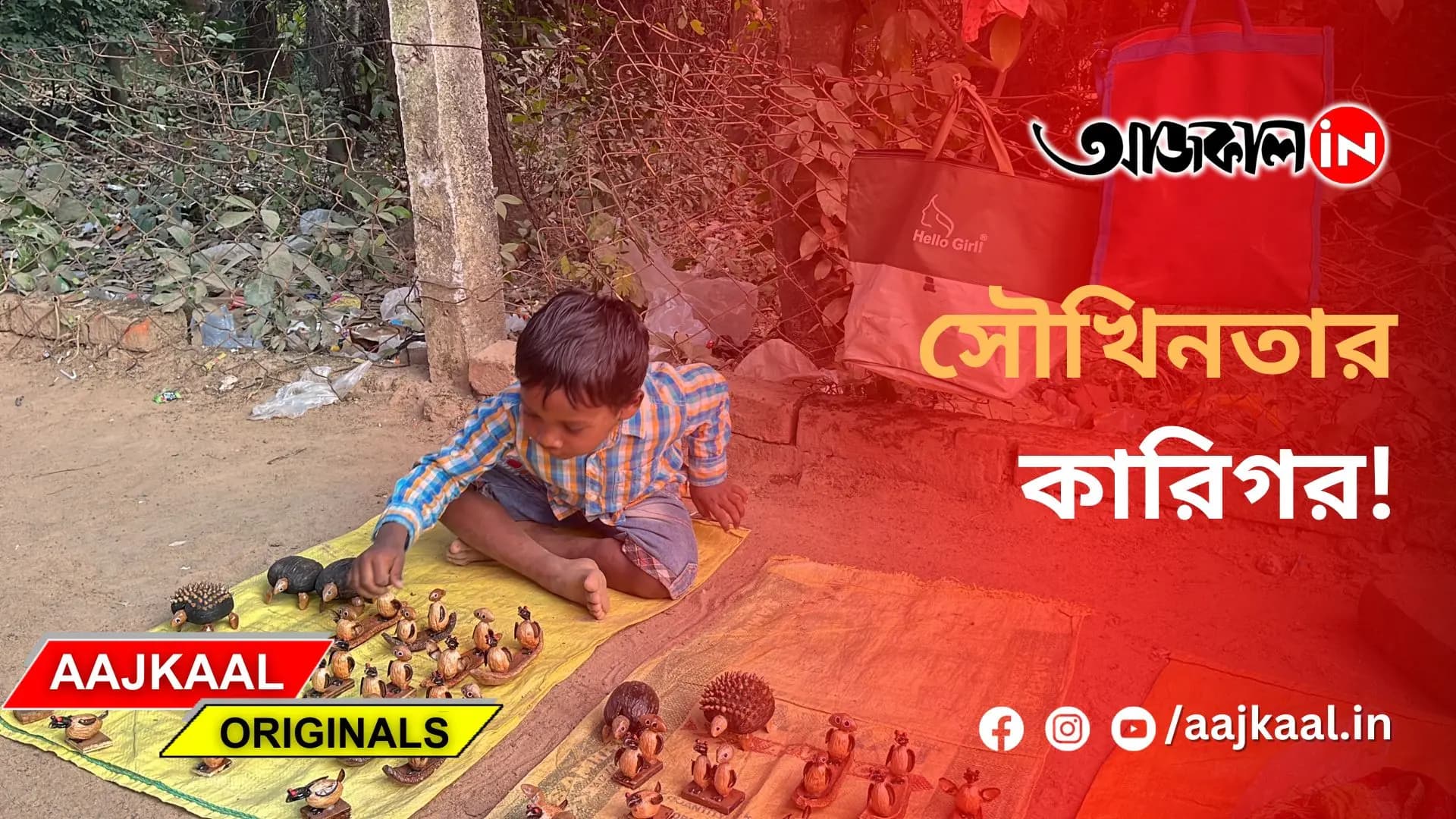 সৌখিনের কারিগর!