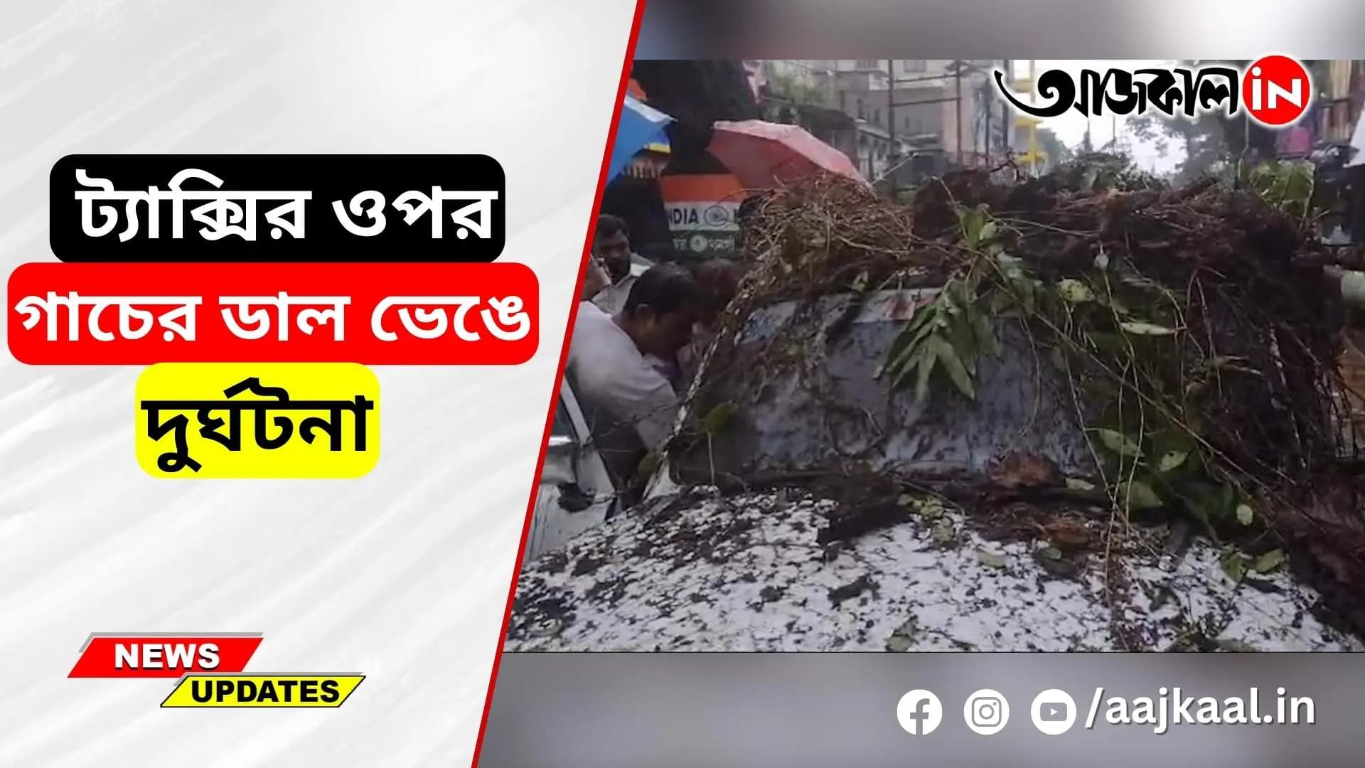  Tree branch broke on the taxi