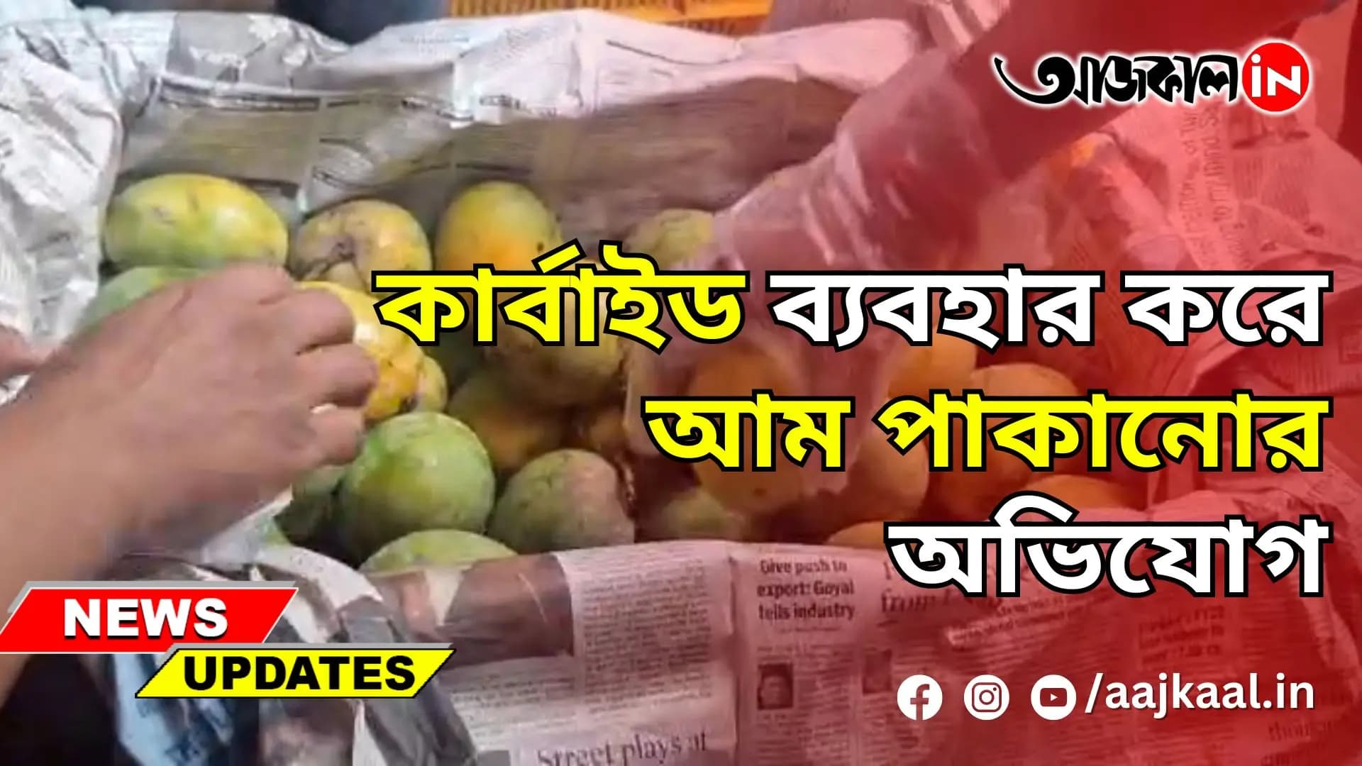 কার্বাইড ব্যবহার করে আম পাকানোর অভিযোগ