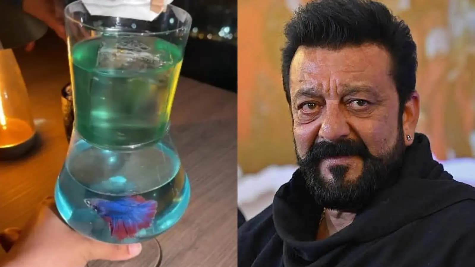 Sanjay Dutt s Mumbai bar under fire for live fish in cocktail 