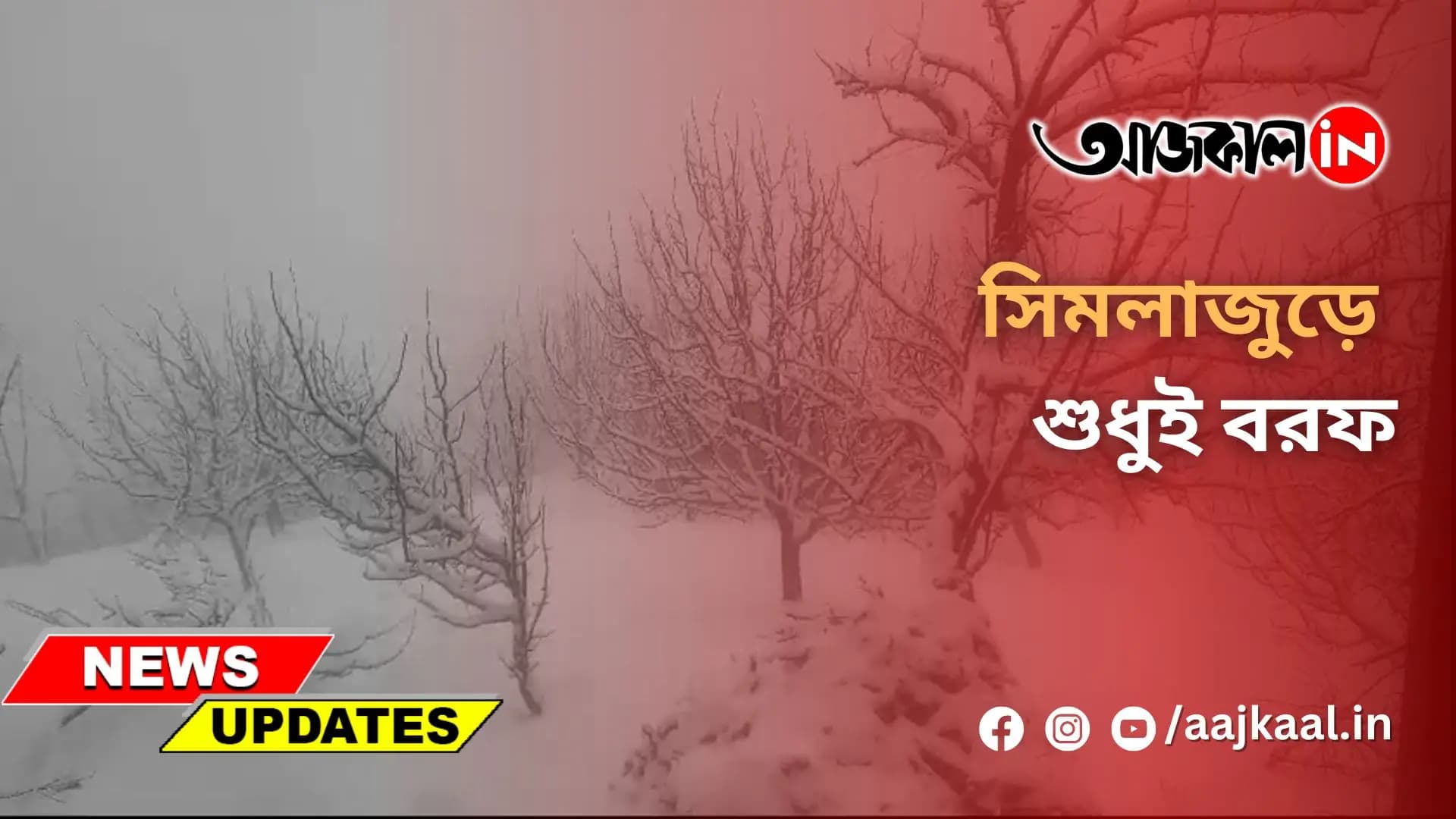  সিমলাজুড়ে শুধুই বরফ
