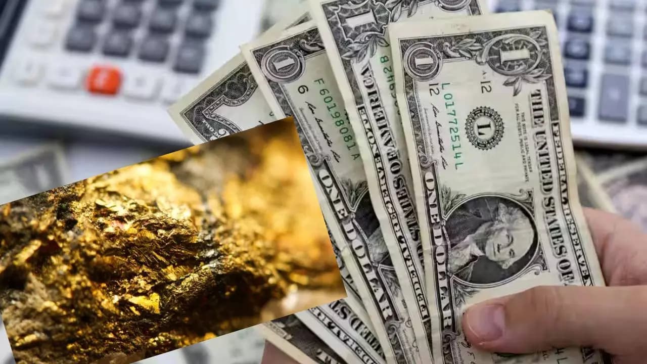 US dollar replace gold