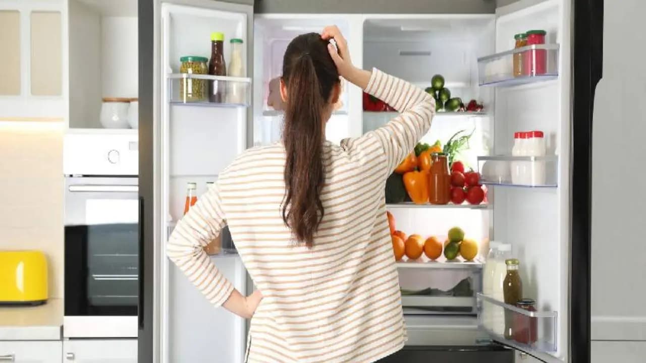 Fridge Electricity Bill Savings