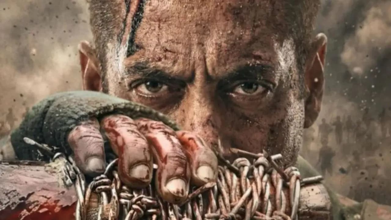 Salman Khan's 'Maatrubhumi' release postponed