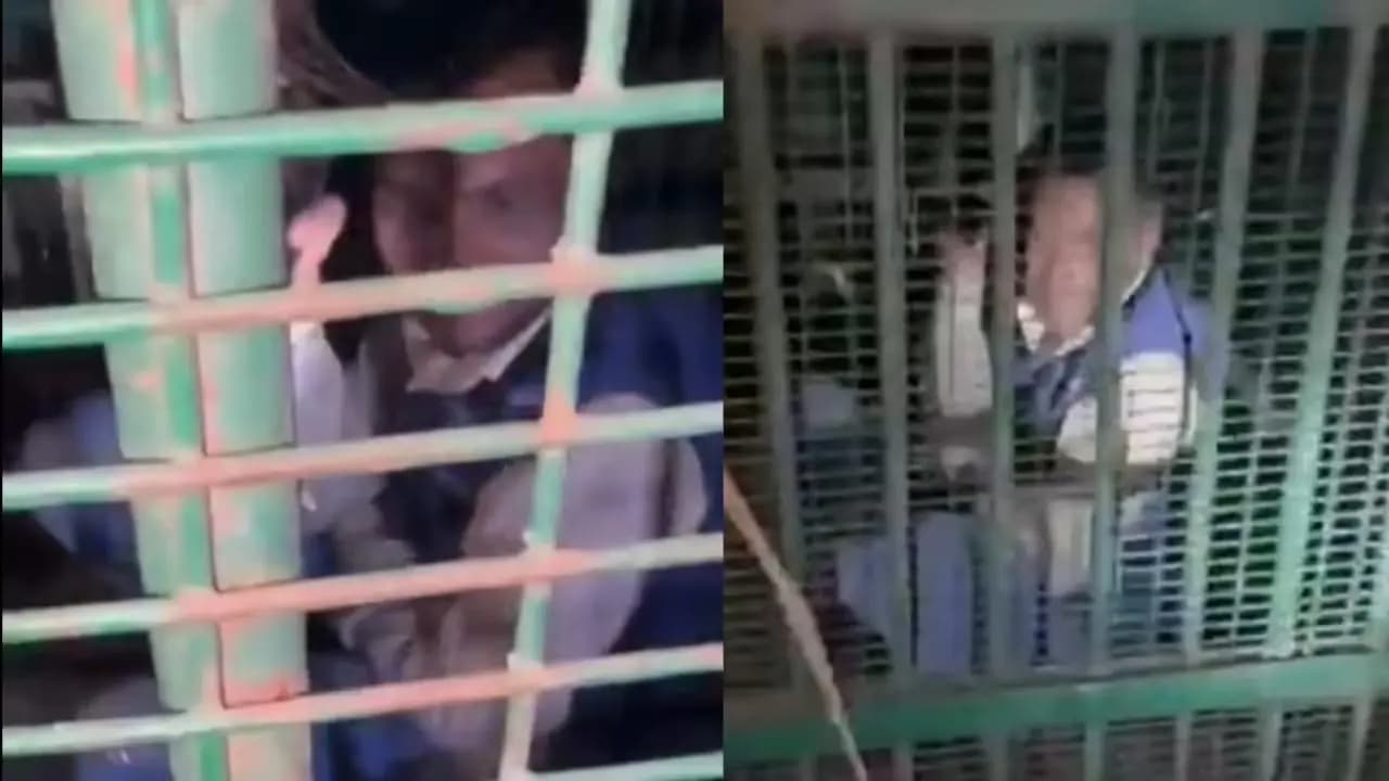 Drunk man accidentally enters into a goat cage in UP