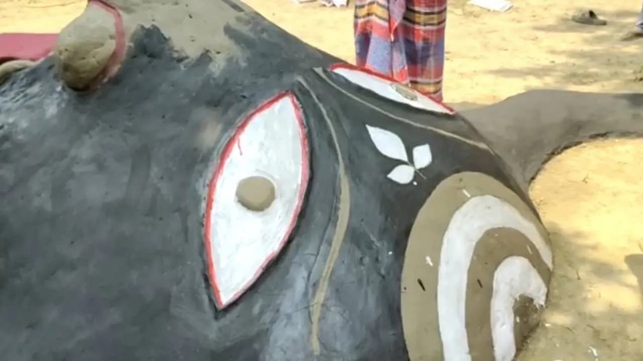 Nadia gets happy on ghost worship on Bengali New Year's Day