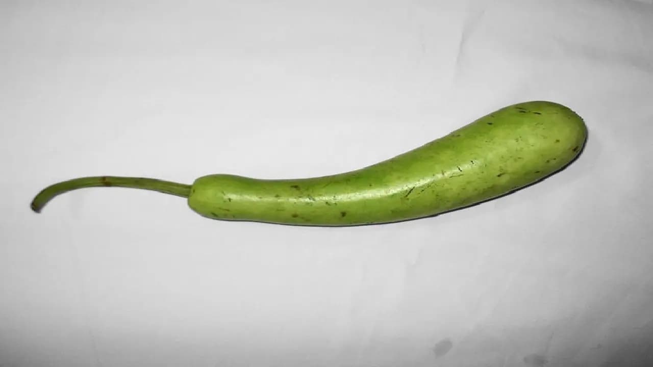 Bottle gourd stuck in 60 year old mans rectum