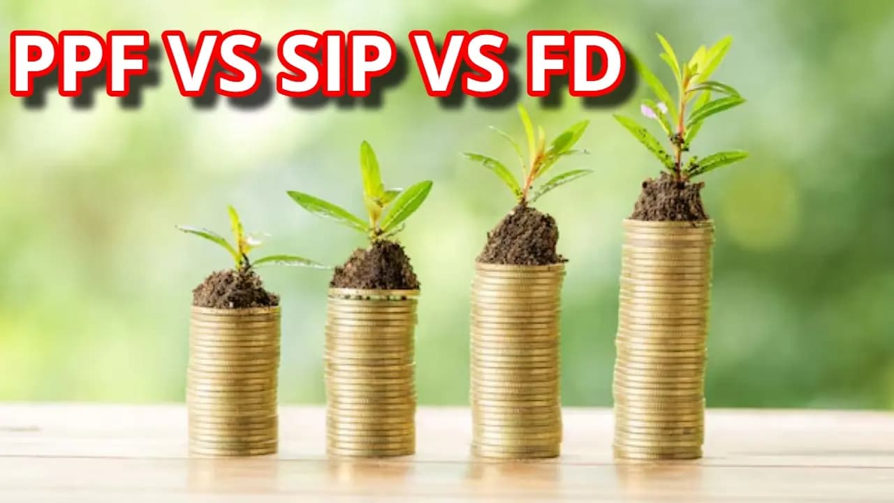 Investing tips: FD vs PPF vs SIP for better return where to invest
