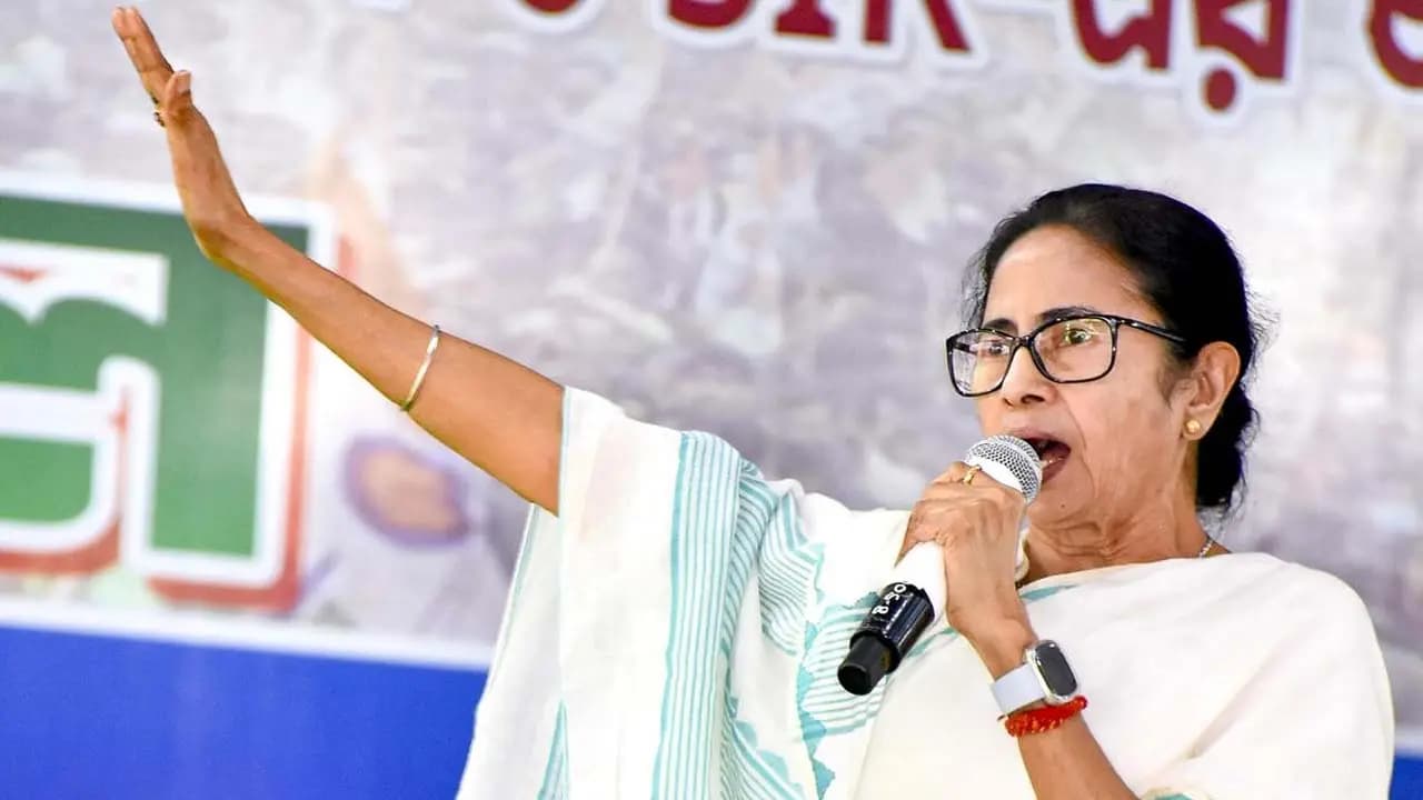 WB Election 2026: I wont leave a single person jobless Mamata Banerjee gives a massive assurance to I-PAC employees 