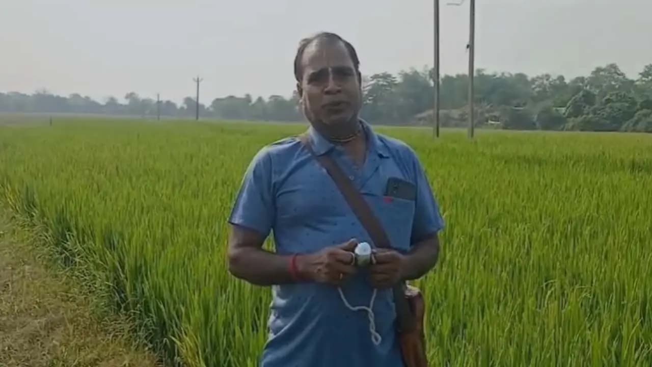 Repented after applying pesticides to save crop a farmer regularly enchants Hari Naam at the field to free himself from sin