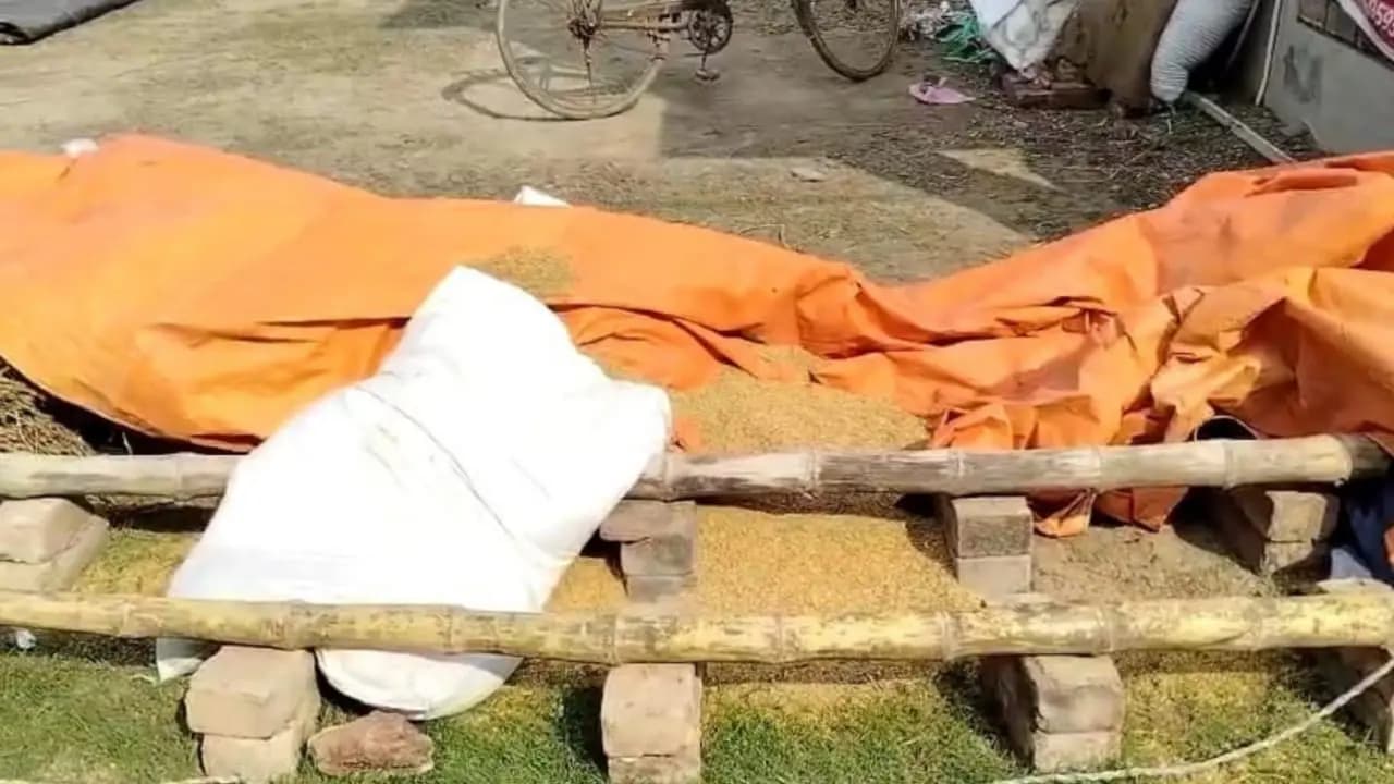 Paddy bags stolen