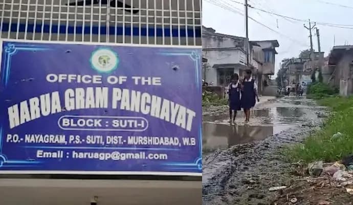 BDO show cause Harua Gram Panchayat Pradhan for not giving tender gnr
