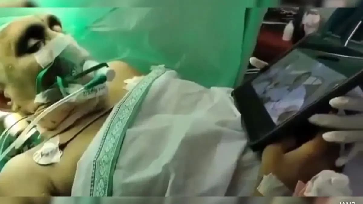 Doctors perform brain surgery as patient watches movie gnr