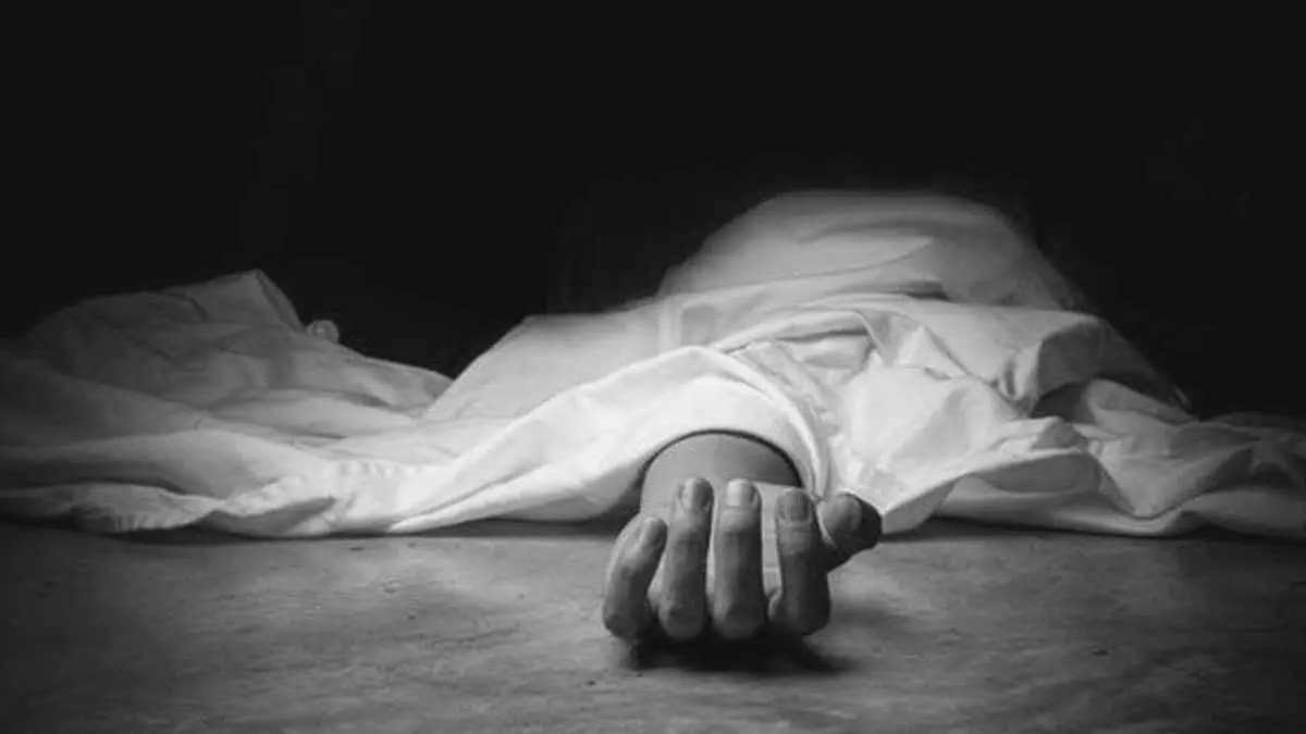 businessman died after tree fell on e rickshaw