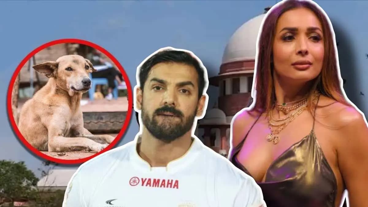 Bollywood stars like John Abraham Varun Dhawan Malaika Arora protests against Supreme court verdict on stray dogs