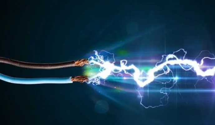 two dogs dies due to electric shock in hooghly area gnr