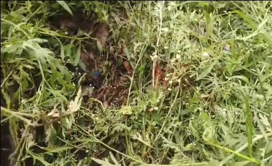 maldah samabay samity robbery case, three arrested