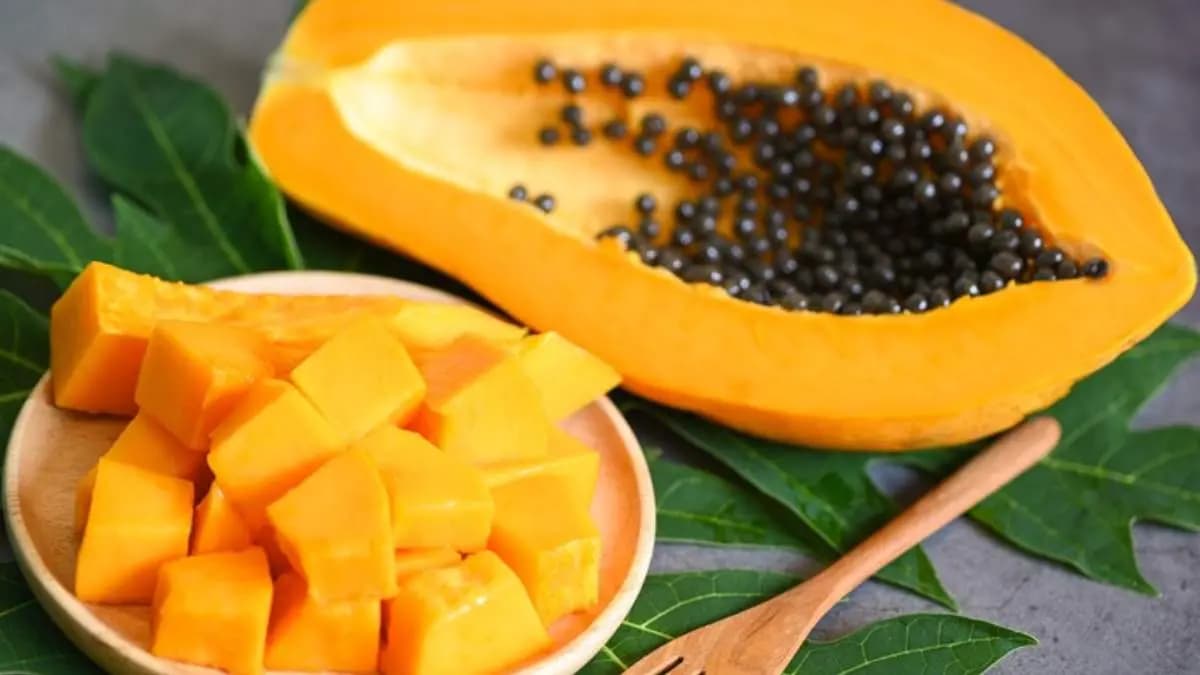 These all foods can damage your digestion system and may cause long term gastric problems lif