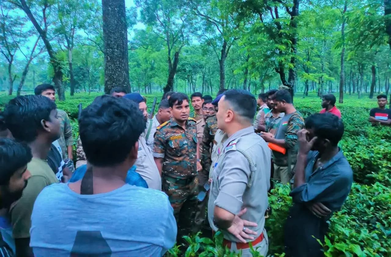 leopard attack, child dies