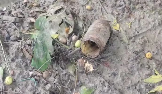 bombing at raninagar, five injured