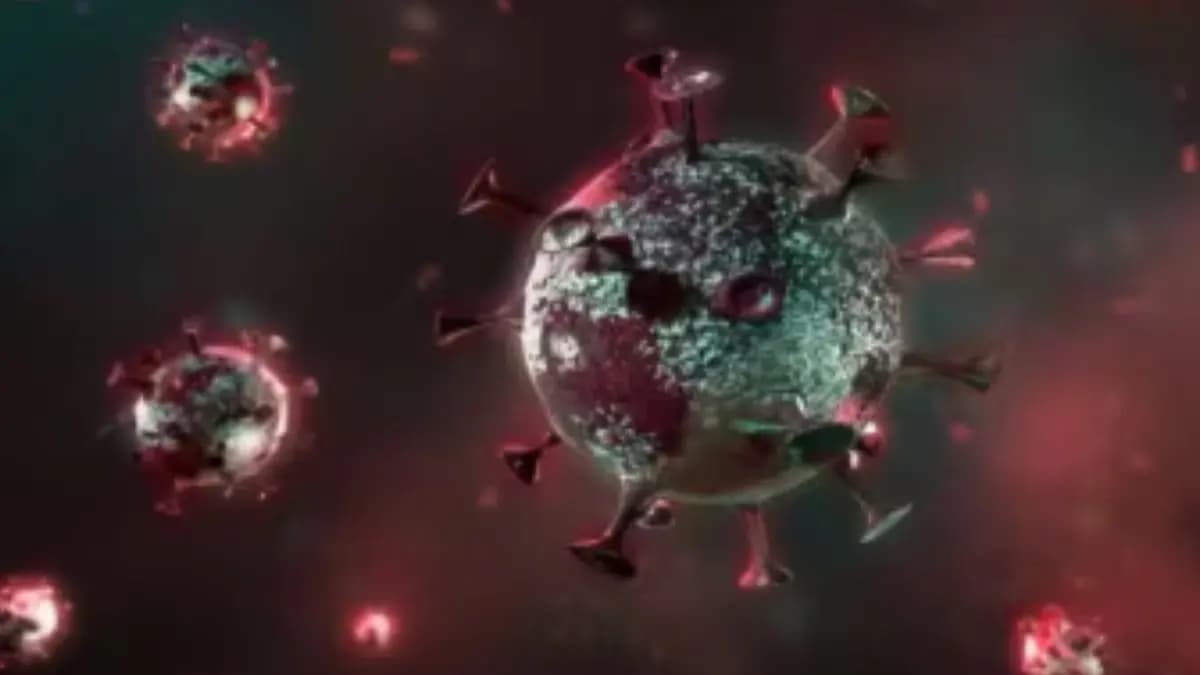HMPV Update Tamil Nadu detects two cases of Human Metapneumovirus gnr 