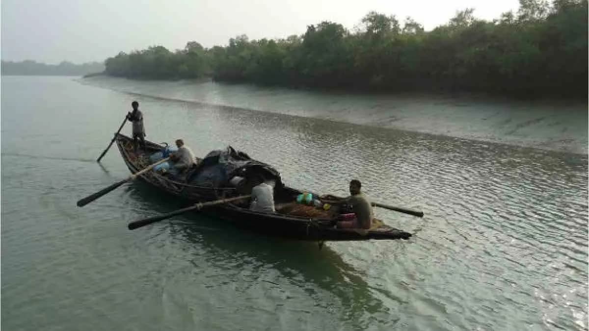 fisherman of sundarban faces harassment in forest gnr