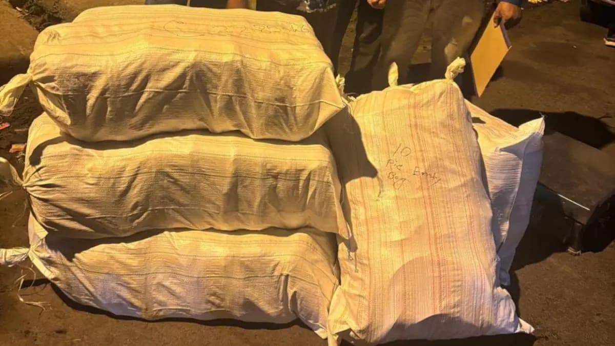 Narcotic Cell seized huge amount of Cannabis at Dhulgarh Toll Plaza gnr