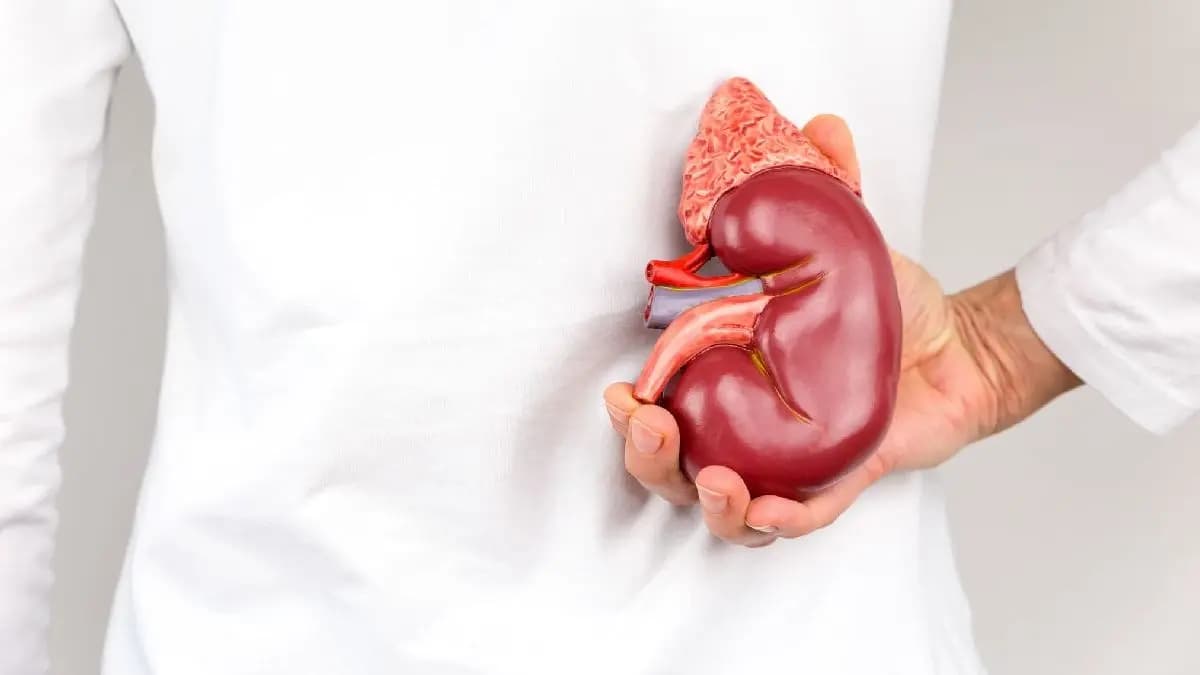 Diabetes or High blood pressure which one is worst for kidneys