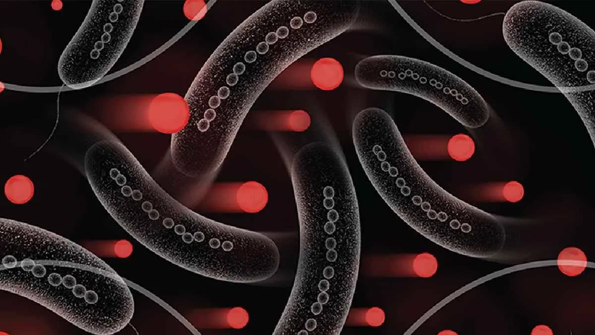 Congo has been declared a new Ebola outbreak in Kasai Province