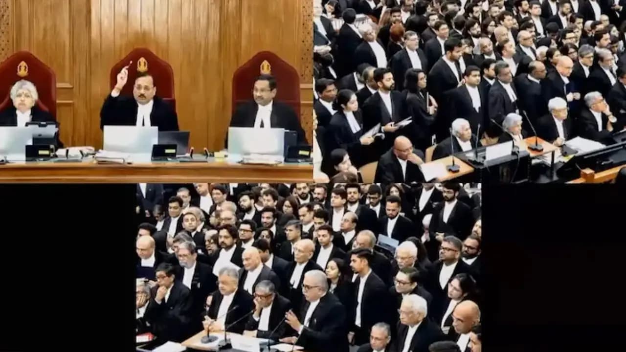 Whatsapp university forward cannot be considered in supreme court