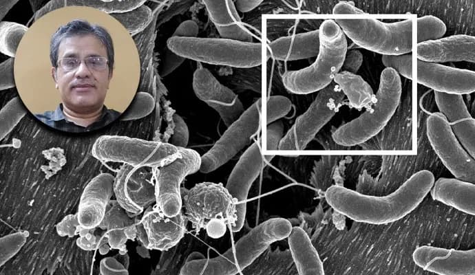 how to prevent yourself from getting infected by Cholera