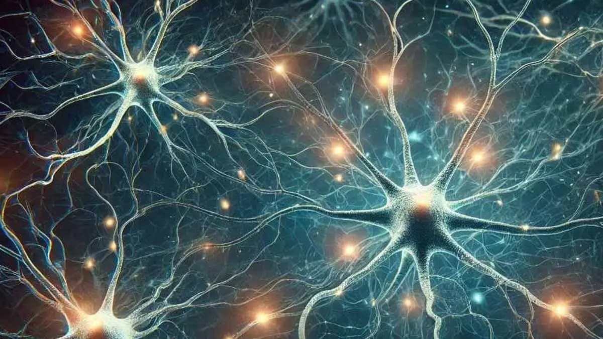 Scientists discover glue that holds memory together in fascinating neuroscience  gnr
