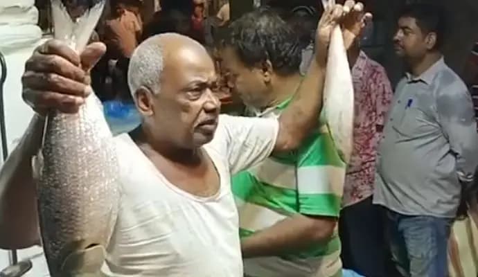 Fish importers are doubtful if they will bring hilsa from Bangladesh during Puja time gnr