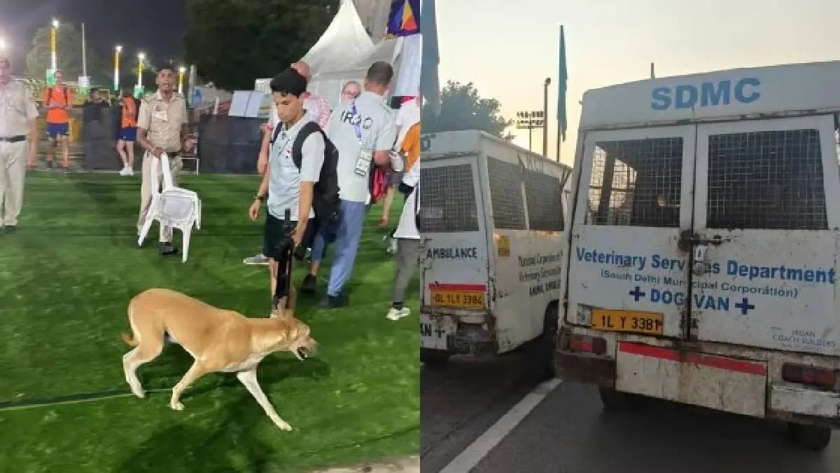 Two foreign coaches bitten by stray dogs at World Para Athletics Championships in Delhi