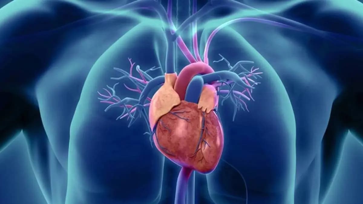 By these easy ways you can check heart blockage at home