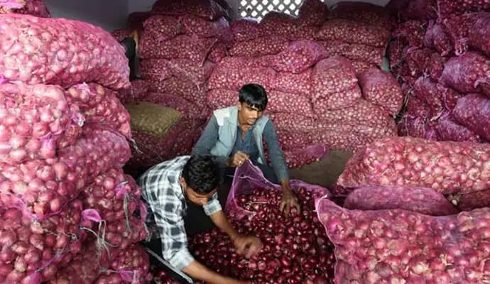 India Bans Onion Exports Till March Next Year
