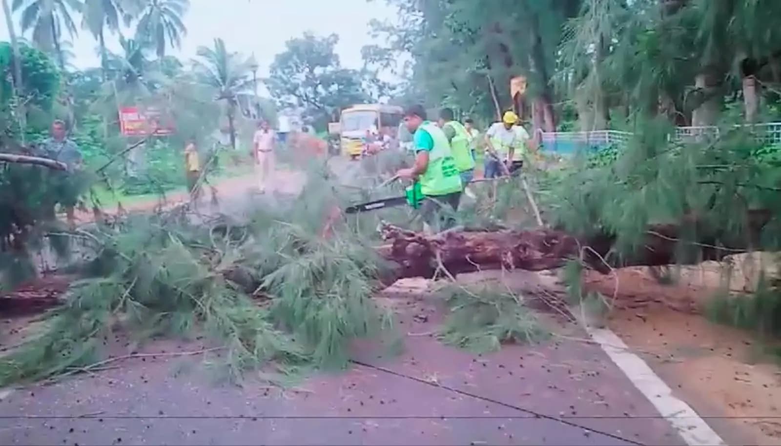 IMD weather Update Cyclone Dana damaged houses and trees