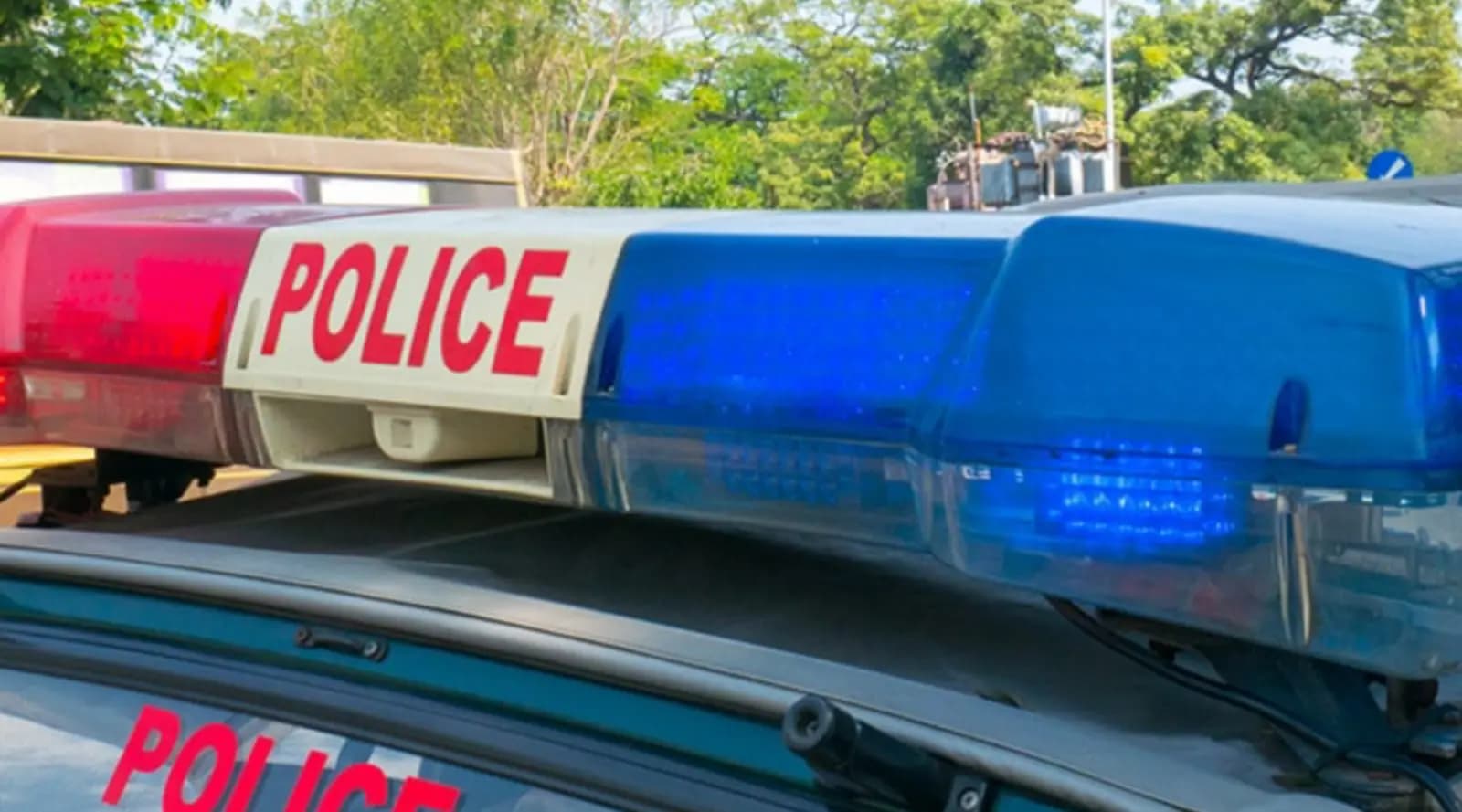 Man Who Killed Delhi Dhaba Owner, Arrested In Punjab