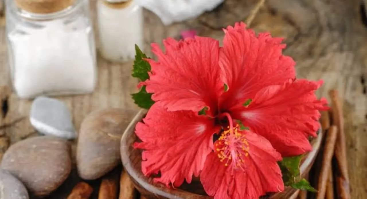 This homemade night cream made with hibiscus flower helps to tighten and glow skin lif