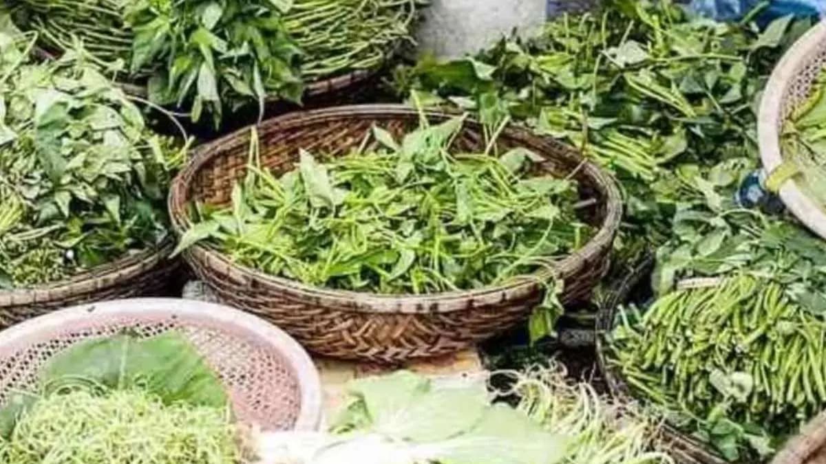 Raddish leaves have many health benefits including full of fibre and antioxidants prevent constipation also lif