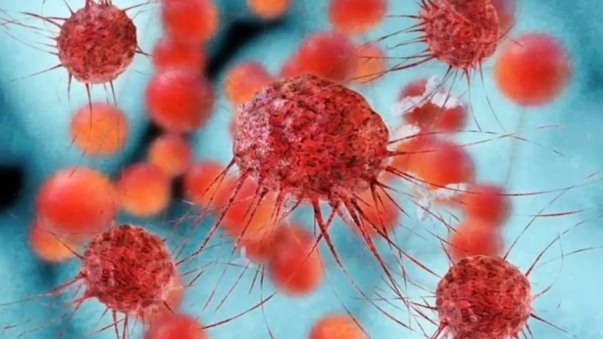 Chemicals cause cancer has been detected in shampoos lotions and body soaps widely used by woman