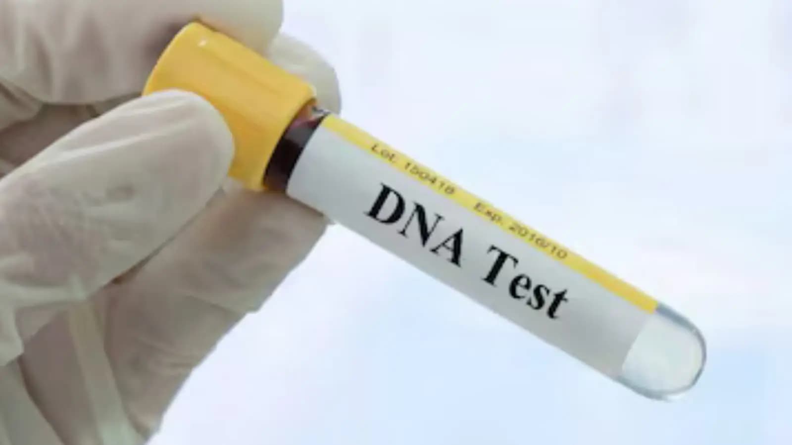 Woman Takes DNA Test After Colleagues Joke About Her Looks What Happens Next Is Shocking_gnr