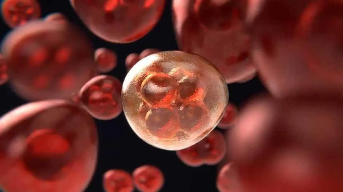 Rise in lymphoma cases in India highlights importance gnr
