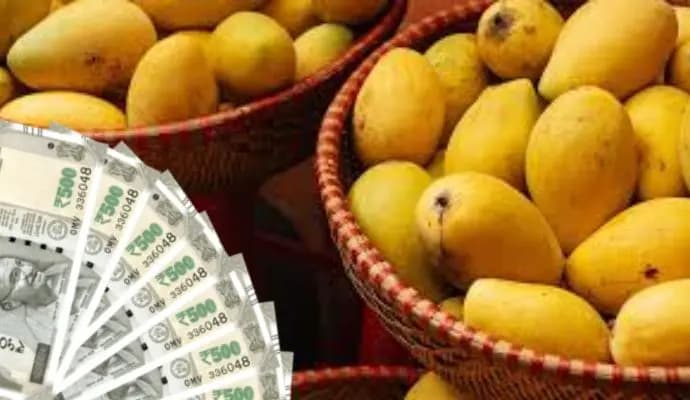 farmers are getting a grant of 40 percent for horticulture avail benefits