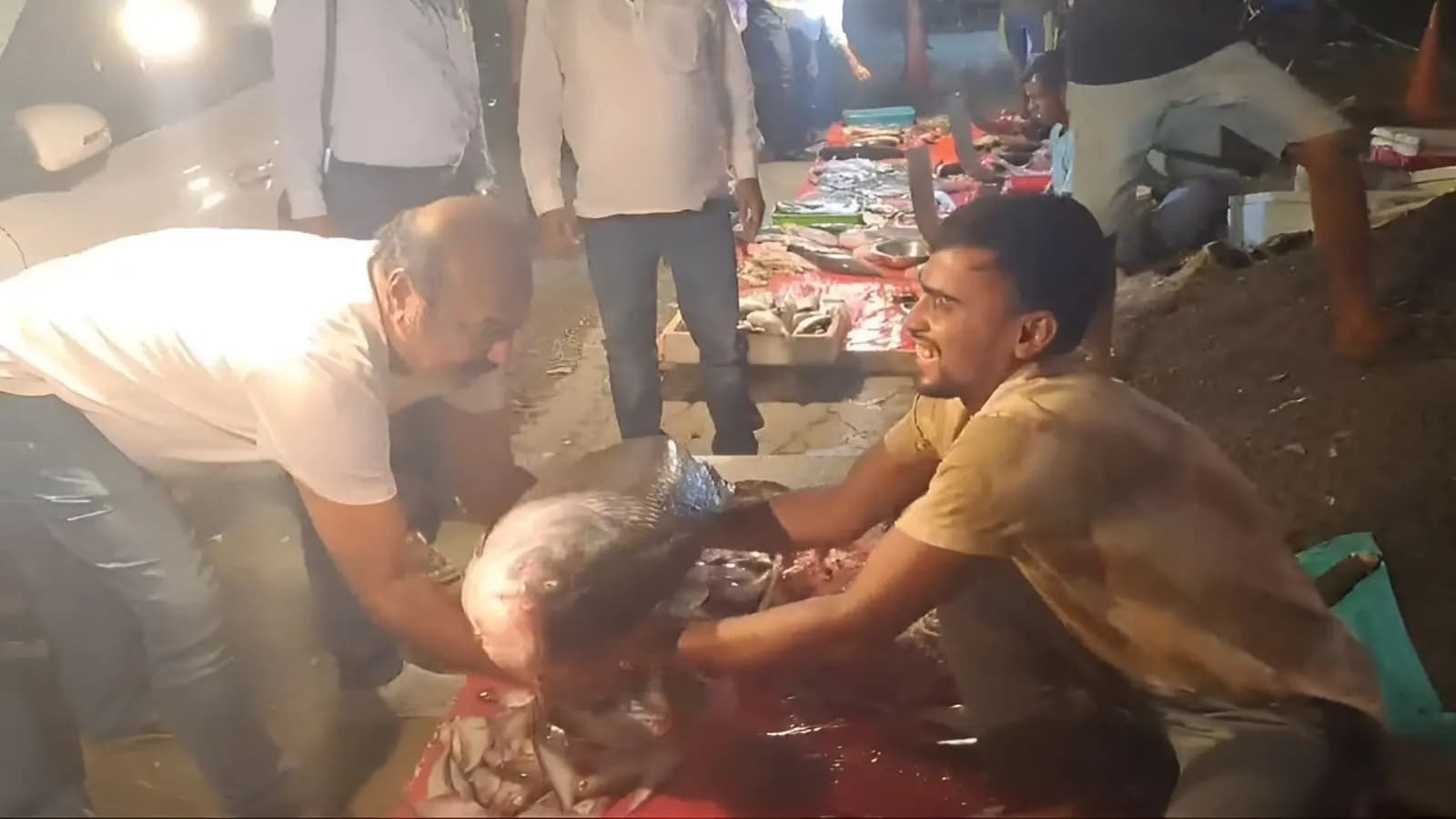 giant katla fish sold at 15 thousands in malda gnr