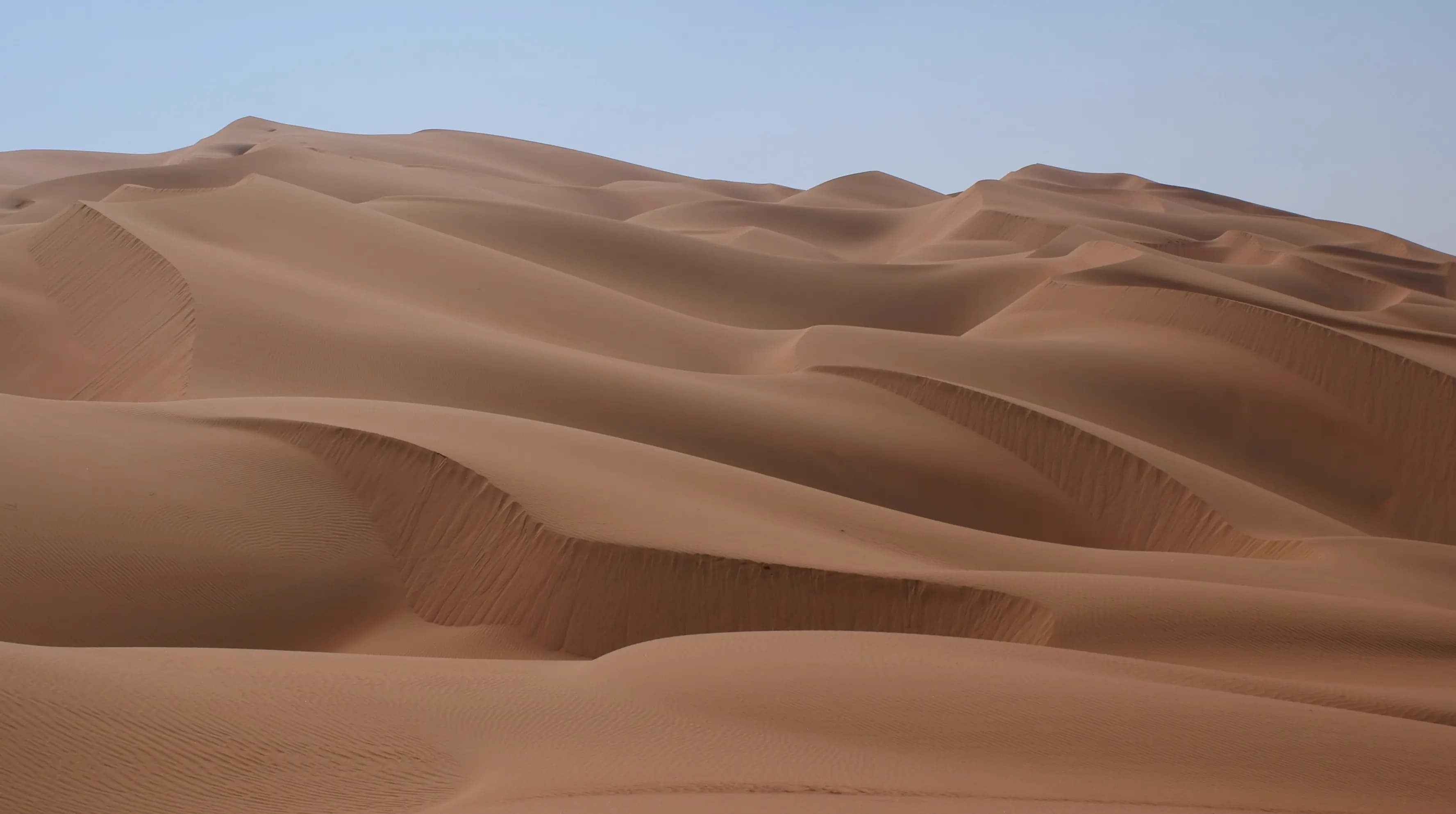 Man Die In Saudi Arabia Desert After Losing GPS Signal gnr