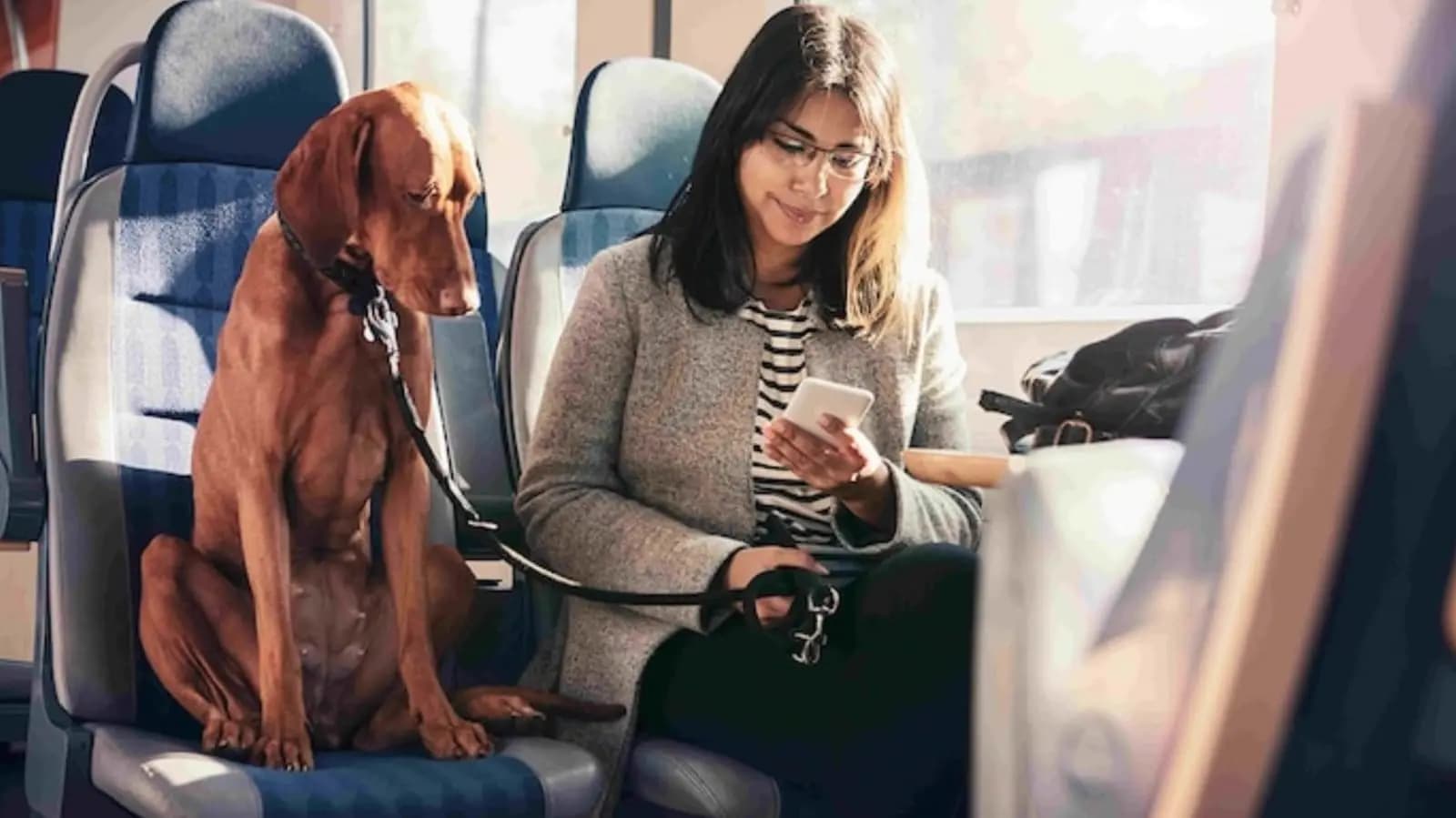 indian railway new rule book your dogs AC First class travel online now_gnr
